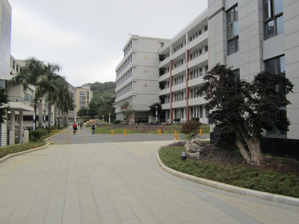 校园道路及景观